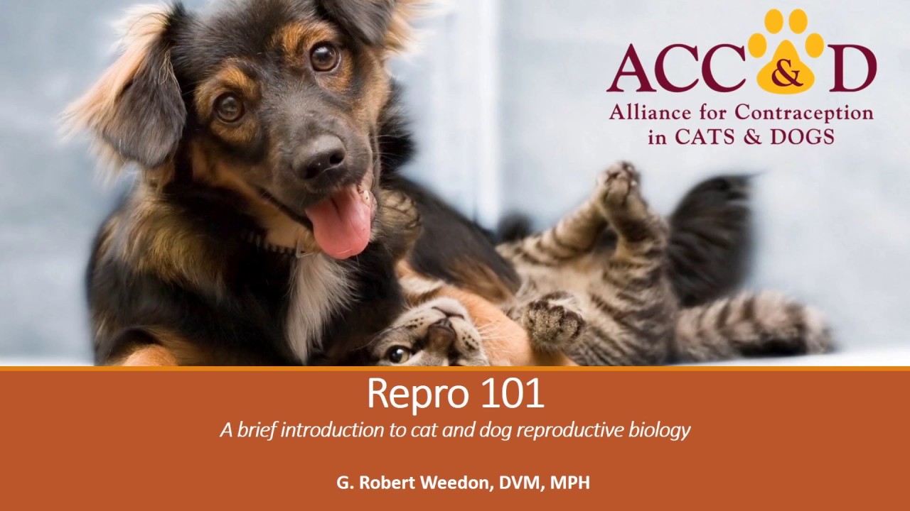 Reproductive Biology 101