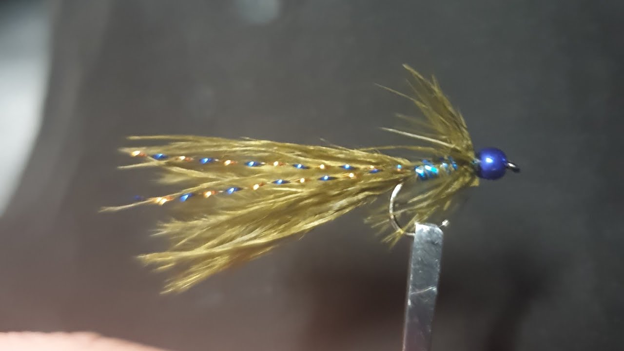 Blue Flash Damsel fly