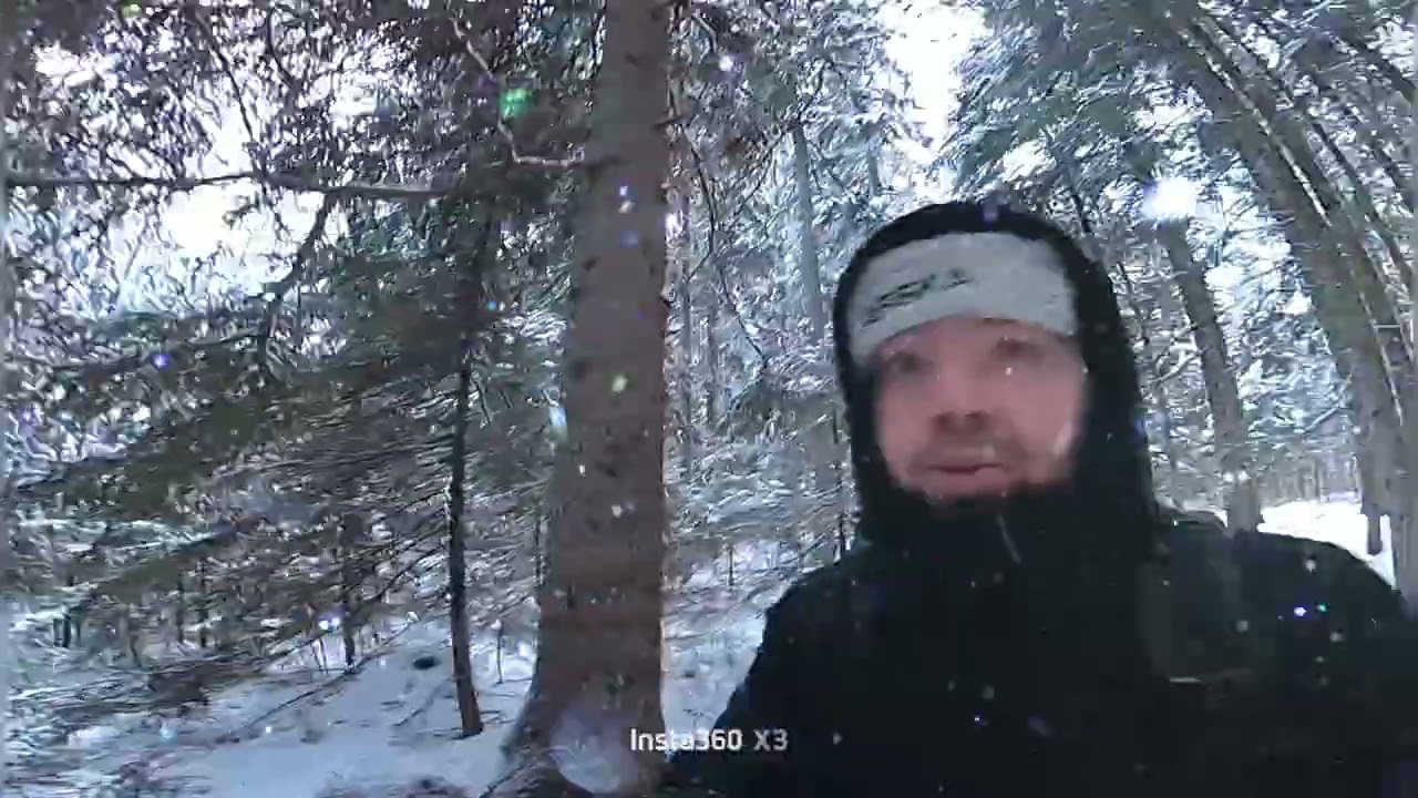 Pieni metsä video