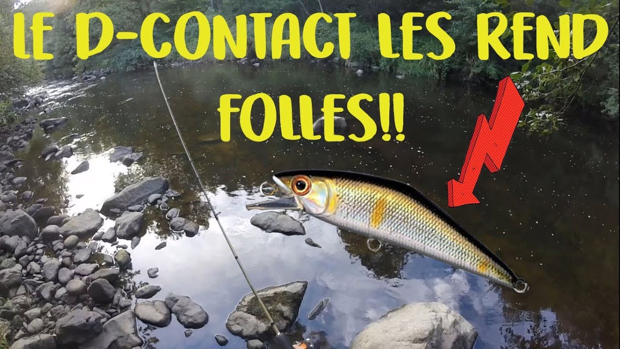 Truite Aux Leurres#5 - 