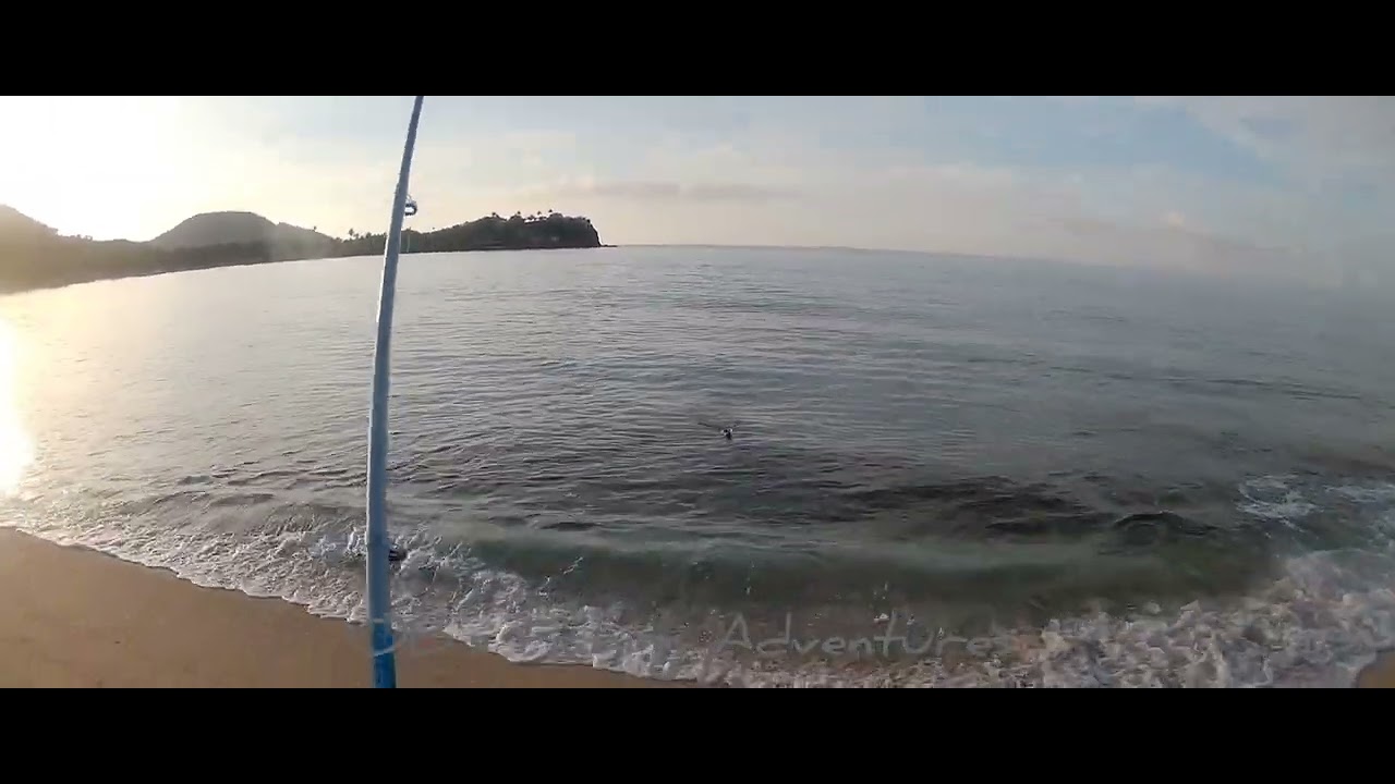 Early Morning Fishing Session|Tried Throwing a Lure #antigua #beachfishing 