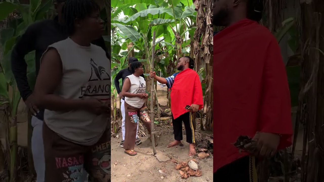 This is unbelievable #cat #funny #sad #family #song #shortvideo #shorts #reels #like #love #live 