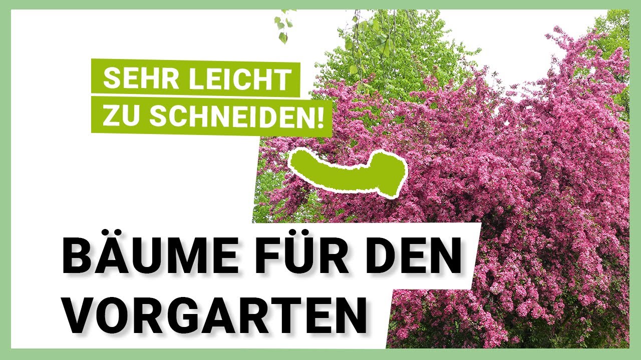 7 Bäume, die sich perfekt für den Vorgarten eignen