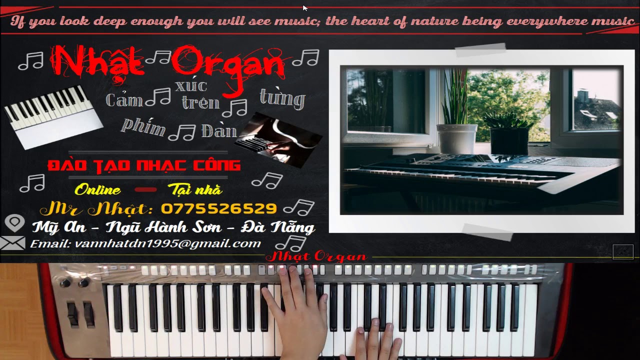 Scale L&agrave; G&igrave; (Thang &Acirc;m L&agrave; G&igrave;) - C&ugrave;ng T&igrave;m Hiểu Với Nhật Organ