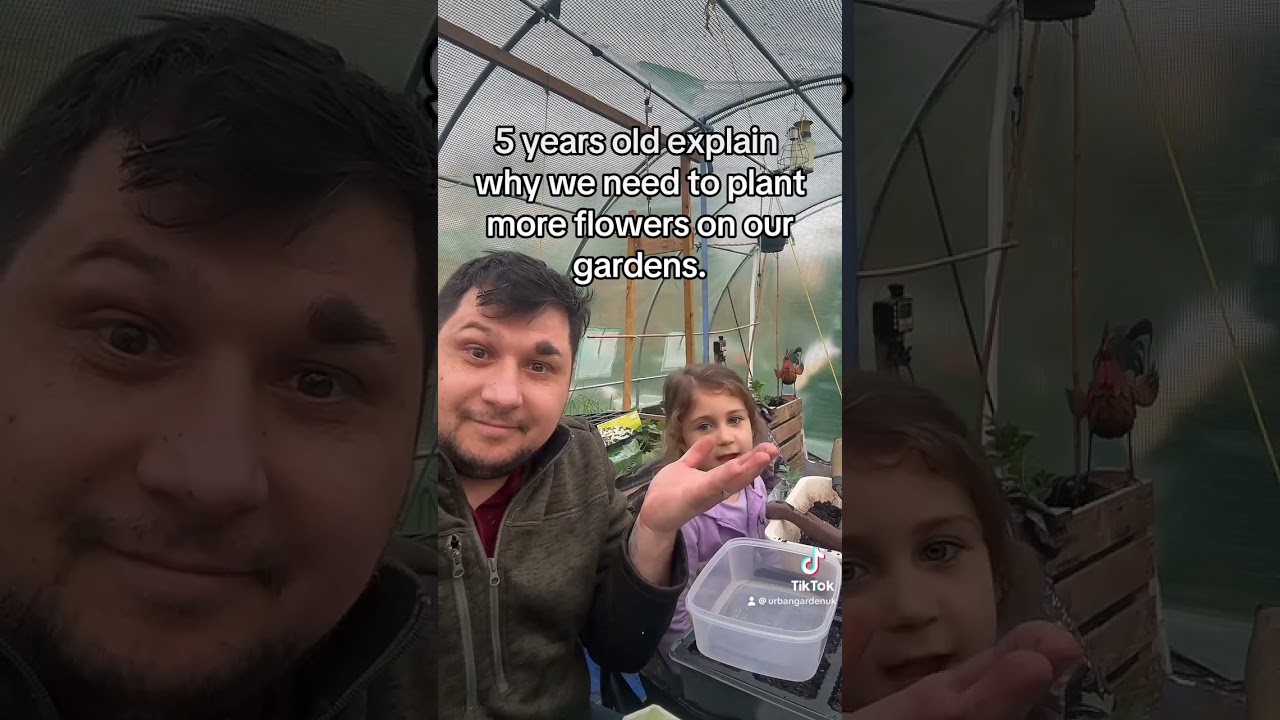 Why we plant flowers! #garden #allotments #gardening #gardeningtips #polytunnel #vegetables #bees