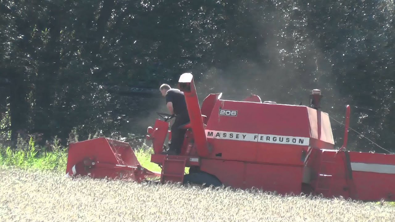 Erlebnis bäuerliche Landwirtschaft von gestern Weizendreschen mit Massey Ferguson 206 Mähdrescher im