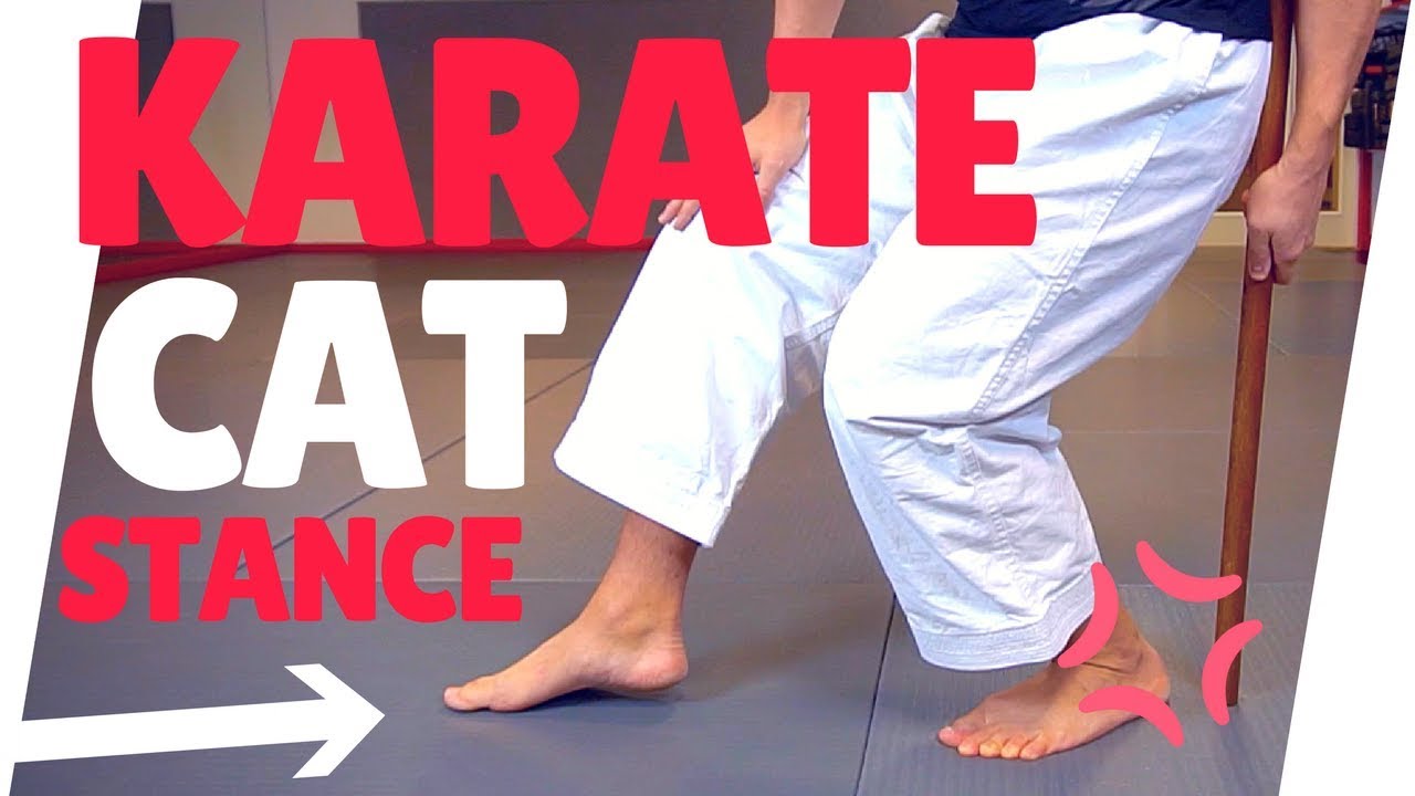BEST KARATE EXERCISES FOR CAT STANCE TRAINING — Jesse Enkamp