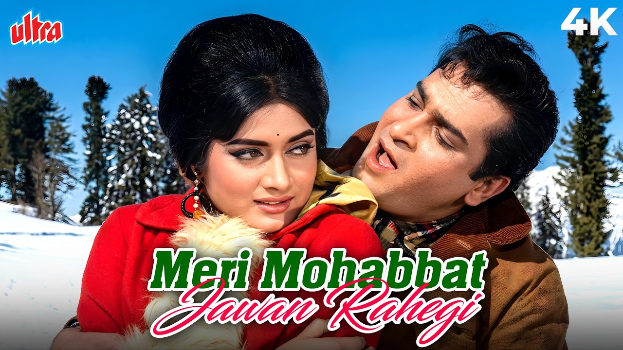 Meri Mohabbat Jawan Rahegi 4K Song | Janwar (1965) | Mohammed Rafi | Shammi Kapoor, Rajshree