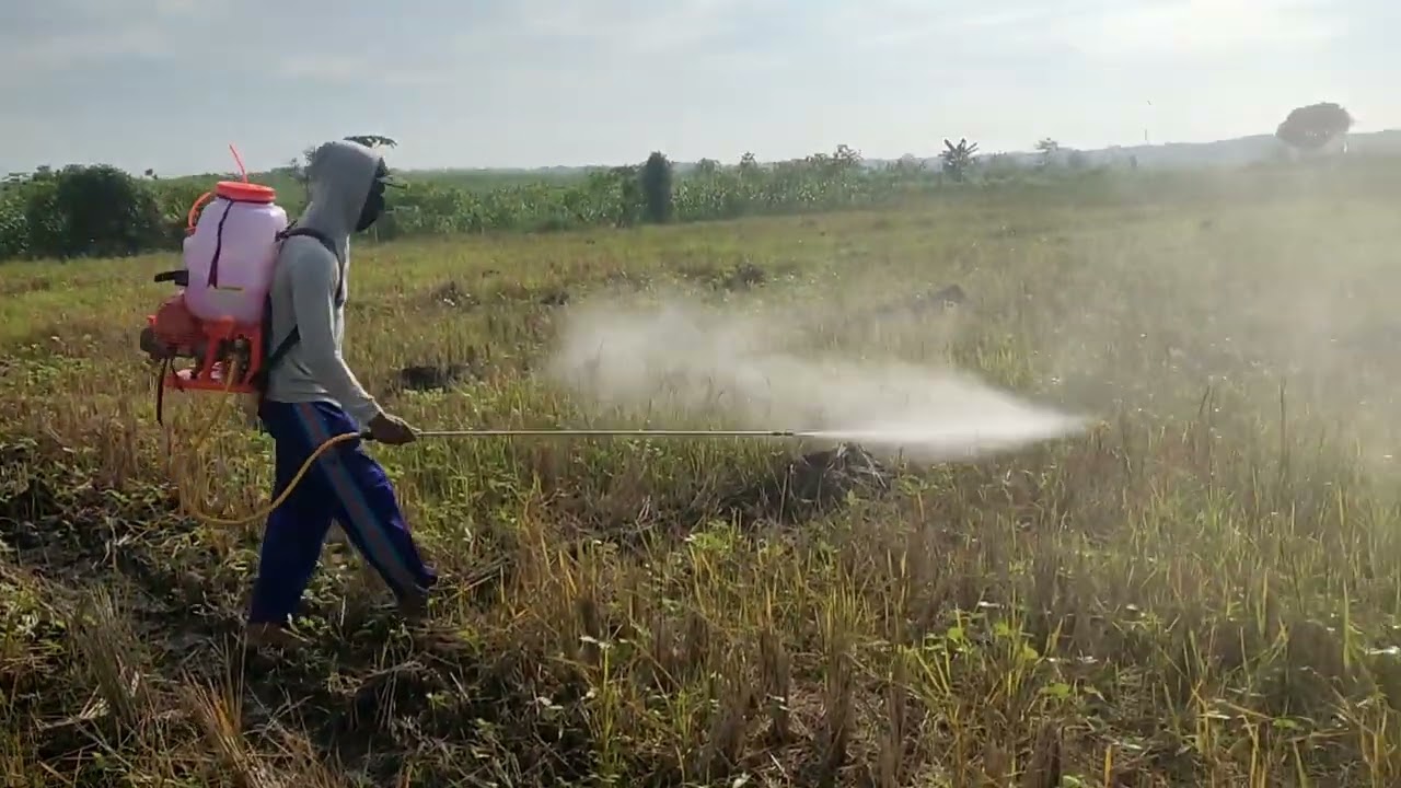 Sprayer mesin 4 tak terbaik YAMAMOTO