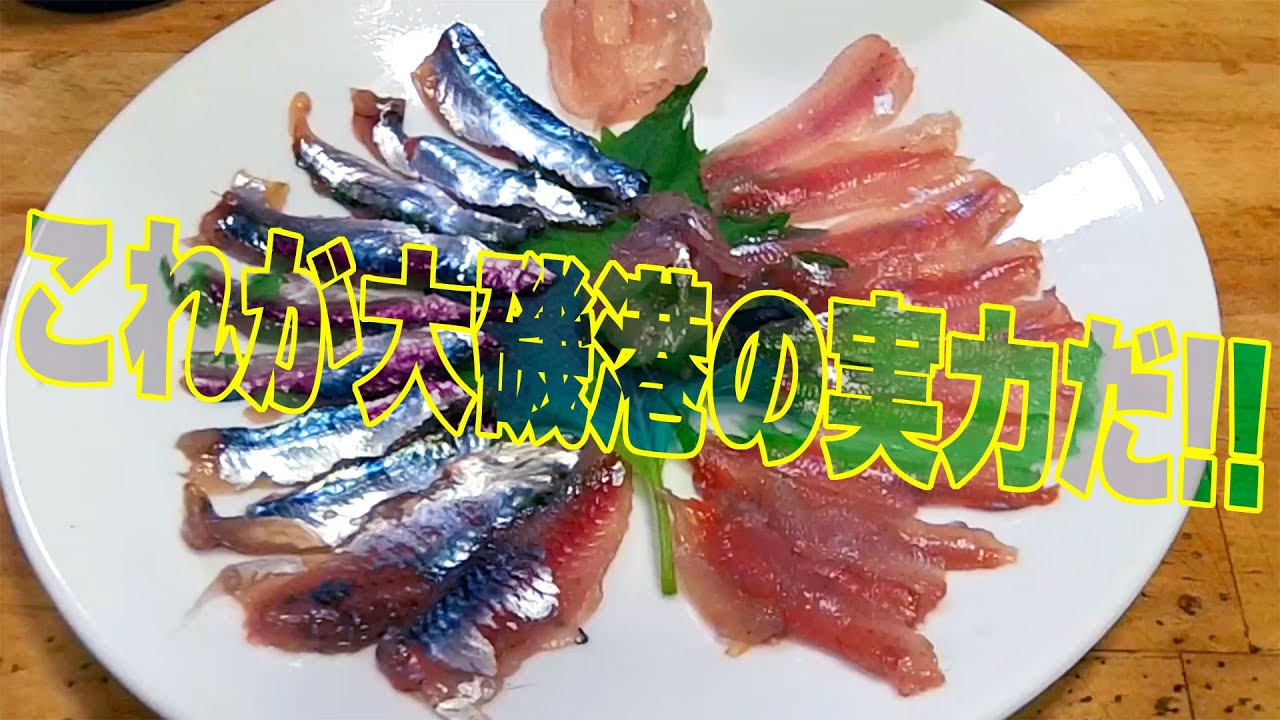 魚を釣りたきゃ大磯港へGo! Go! Go!! 【健啖隊はウソ言わない】