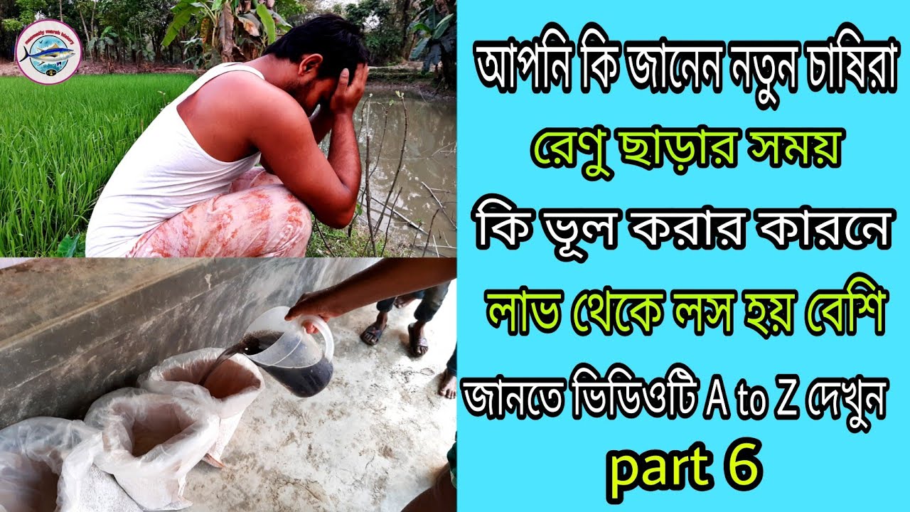 আপনি কি জানেন নতুন চাষিরা রেণু চাষে লাভ থেকে লস হয় কেন | Call 01781700794 | Fish farming Bangladesh.