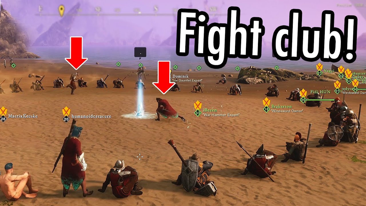 New World Fight Club... | New World MMO - Best Highlights & Funny Moments #5