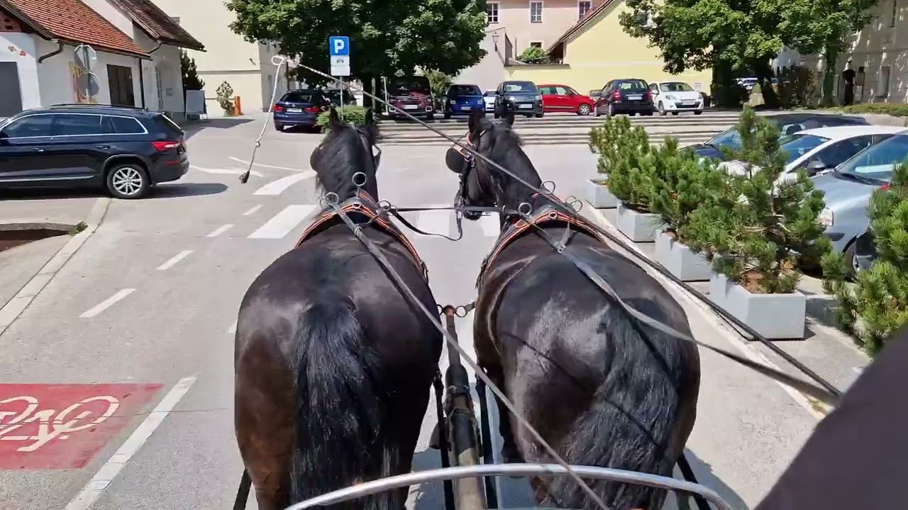 PAARGESPANN - einfach, sicher und herzlich ⚜️ aus dem Hause REPNIK