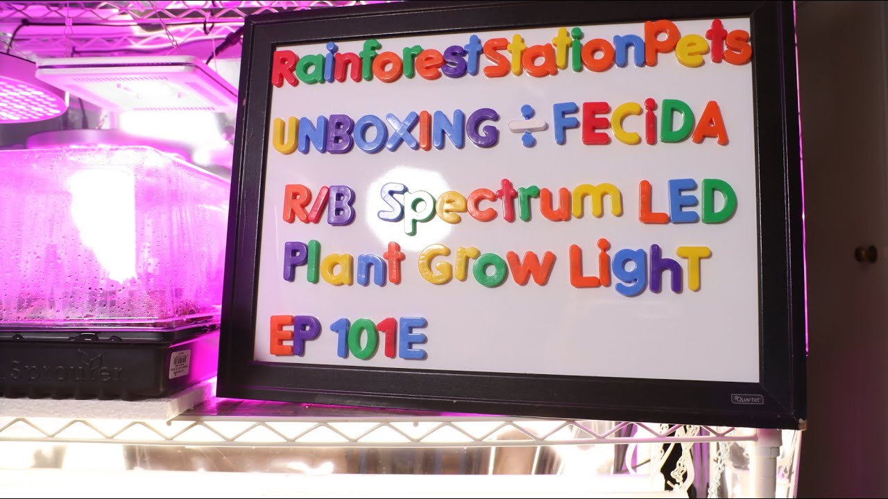 Unboxing the FECiDA 50 watt red/blue spectrum LED plant grow light