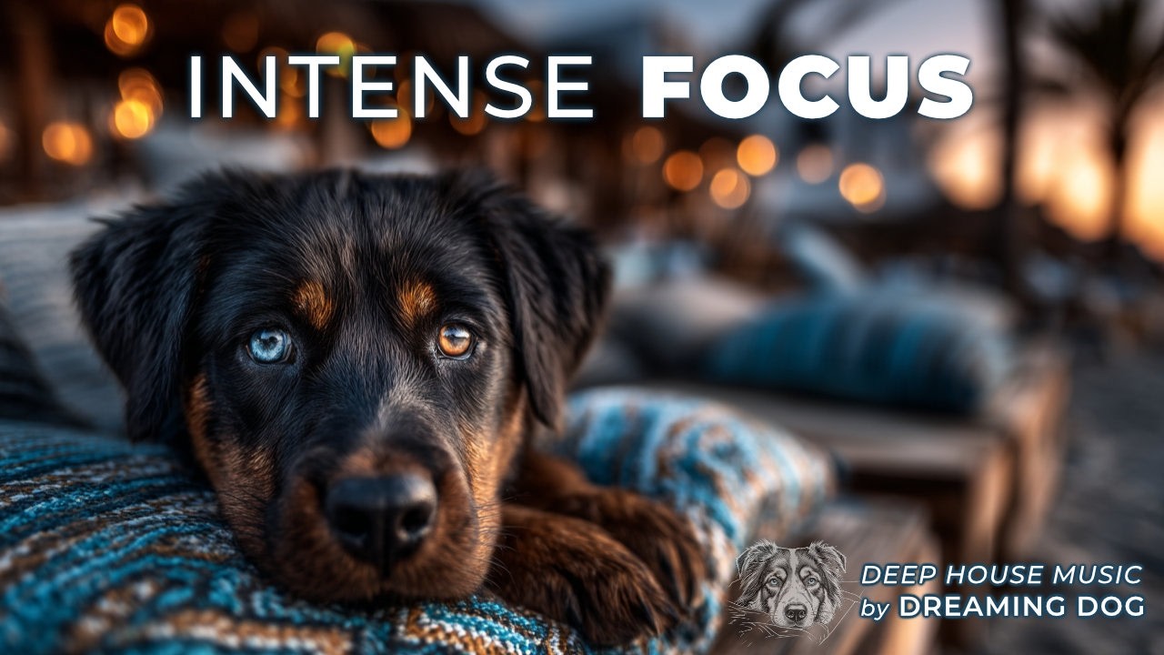 Intense Focus | No Vocals | Deep Work, Coding and Programming, Exam  Study, Background Focus Music