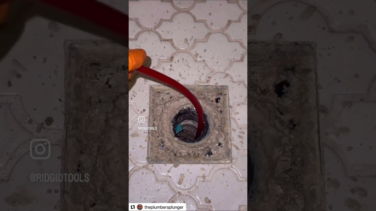The K-9 204+ FlexShaft is an absolute beast for wall-to-wall drain cleaning 🤯 