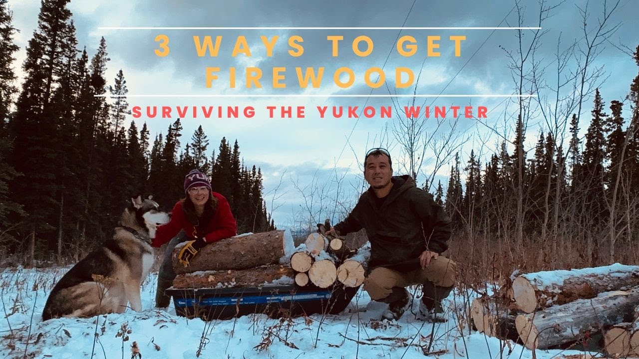 3 Ways to Get Firewood -