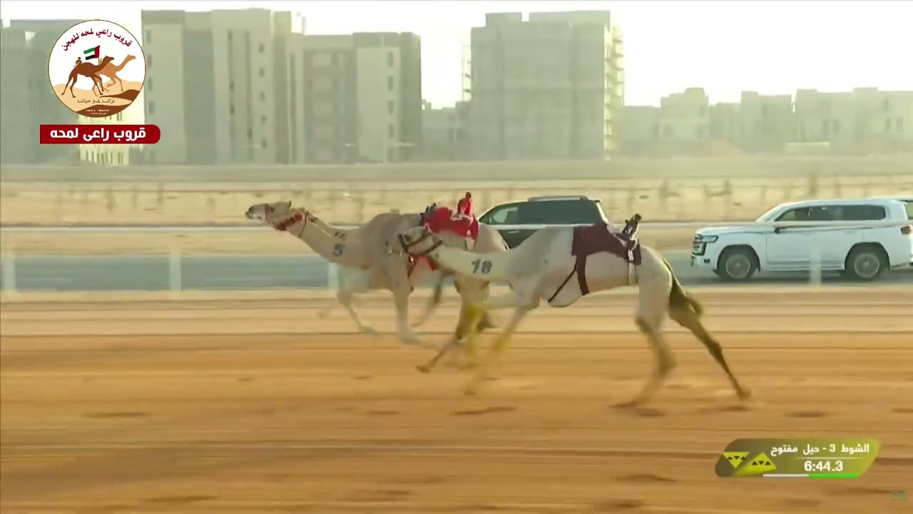 الشوط 3 شواهين لـ هجن الرئاسة 12:32:50 المضمر سلطان محمد الوهيبي(مهرجان خادم الحرمين الشريفين 2026 )