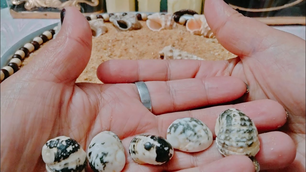 برج (الحوت)🧐ضع النيه علي الودع وسيخبرك بكل شيء 👌 علي جميع الأصعده وايه الاجاي لمدة ثلاثة أشهر💯 صح