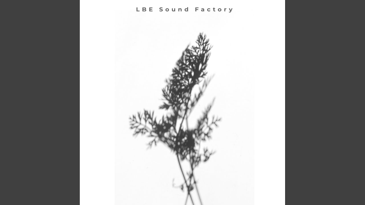 Gently Playing With Rocks ASMR