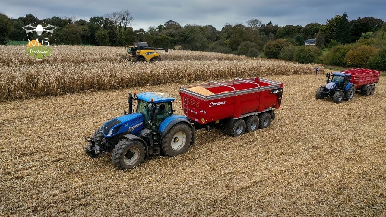 MAÏS GRAIN 2020 🌽 New Holland CR 9080 / ETA PAIN