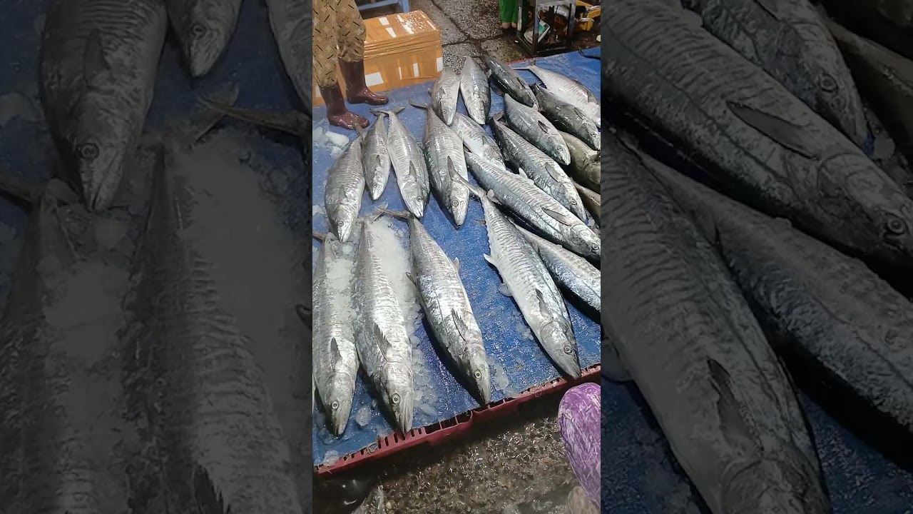 Cuộc sống mưu sinh 365 YouTube nguyên Thanh tiktokshop thanh nguyên7 shopee YouTube nguyên Thanh 