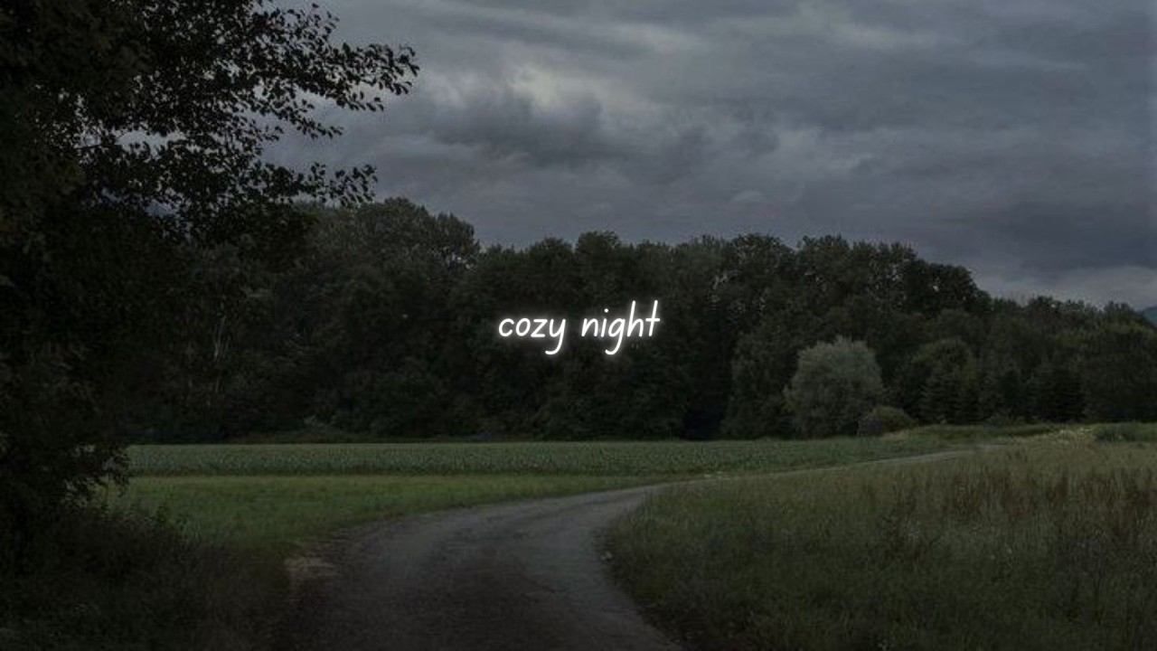 cozy night 🌸 a calm playlist for night owls