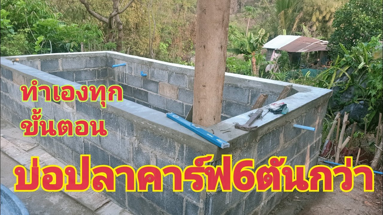 #บ่อปลาคาร์ฟ6ตันกว่า กว้าง1.50ยาว3.50ลึก120 6ตันกว่าๆประมานนี้ไม่แน่ใจเหมือนกัน #ทำเอง #โครตภูมิใจ