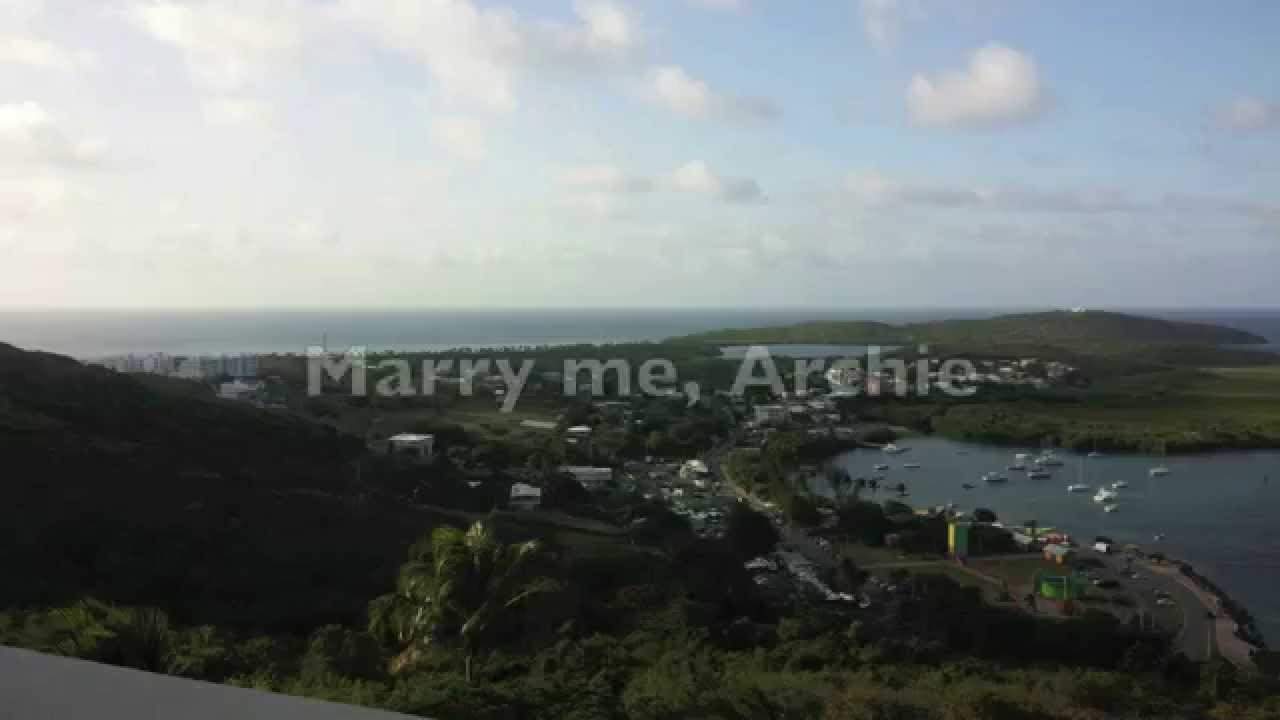 Alvvays - Archie, Marry Me (Lyrics on Screen)