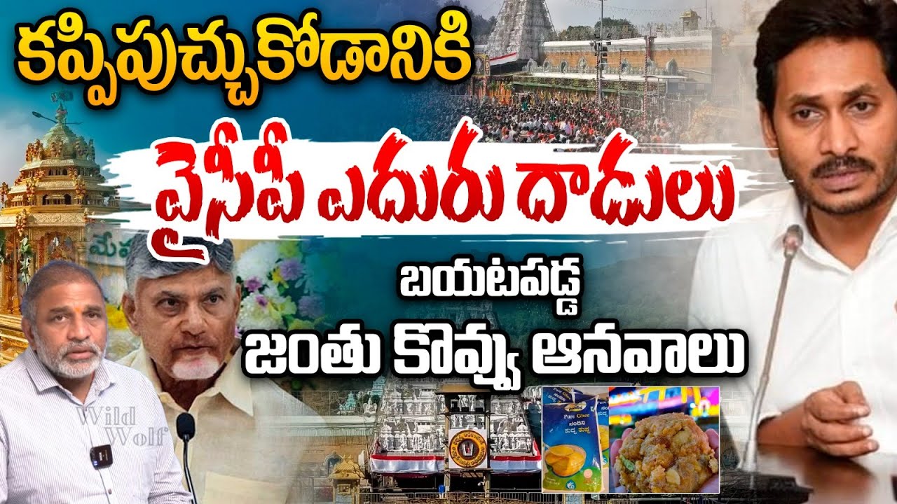 తప్పు కప్పిపుచ్చుకోడానికి వైసీపీ ఎదురు దాడులు | Titumala Adulterated Ghee Case | NDDB Lab Report