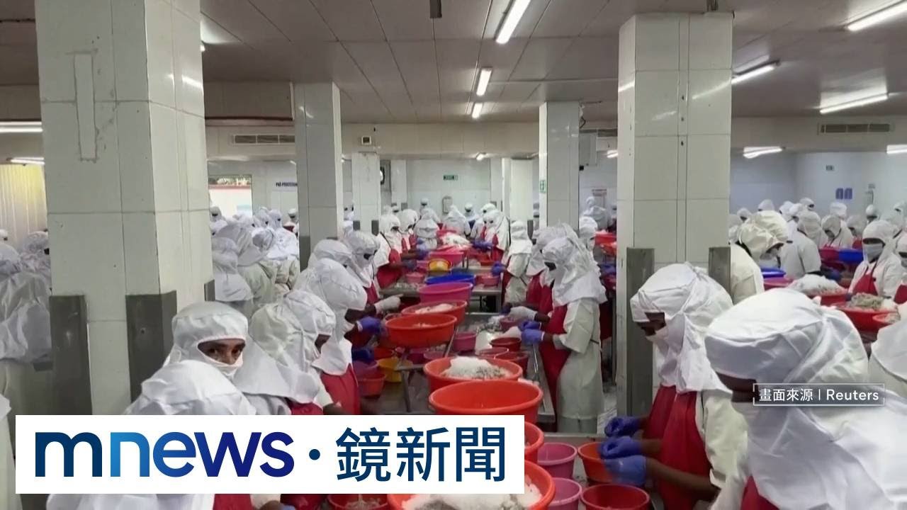禁日本水產改吃印度海鮮？　中網友炸鍋：來了個更狠的｜#鏡新聞