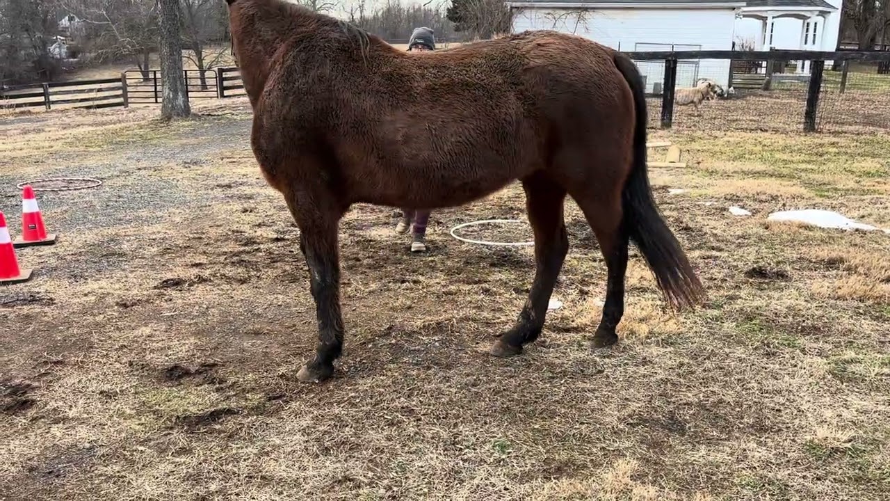 Sam Helton and Goldin’ Opportunity February 2026 Walk Only WO4 First Level