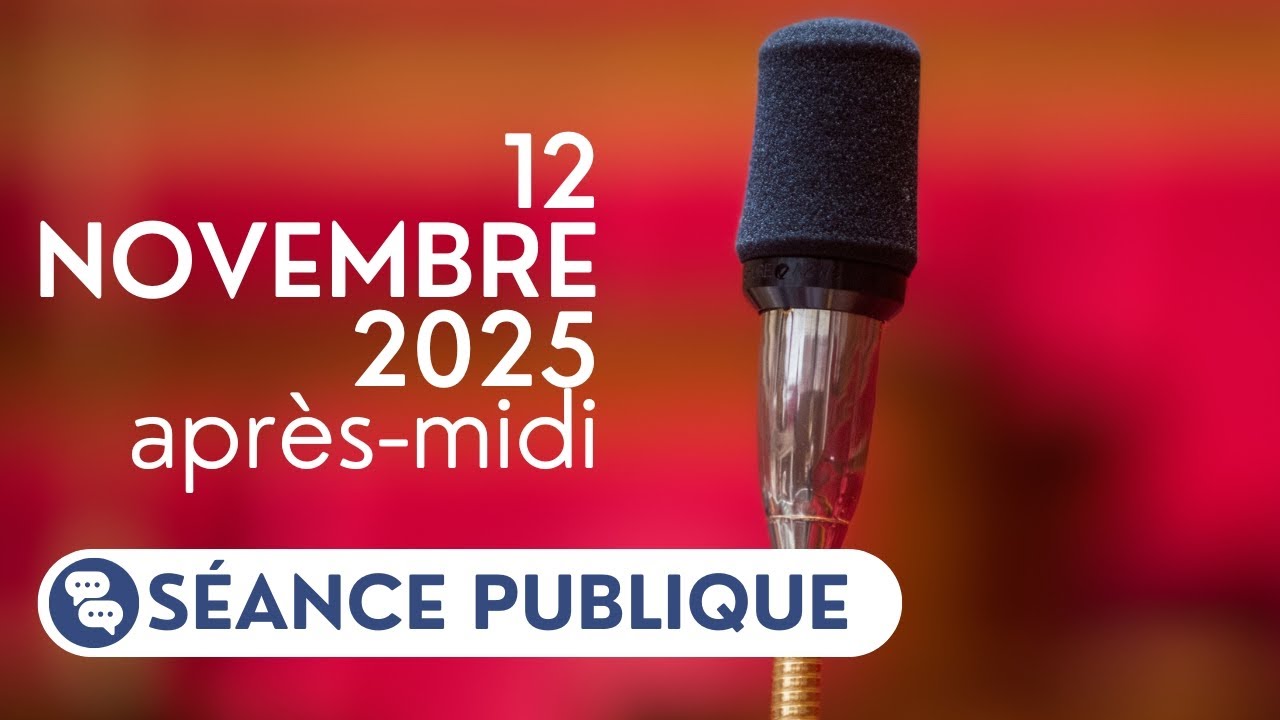 S&eacute;ance publique du mercredi 12 novembre 2025, apr&egrave;s-midi