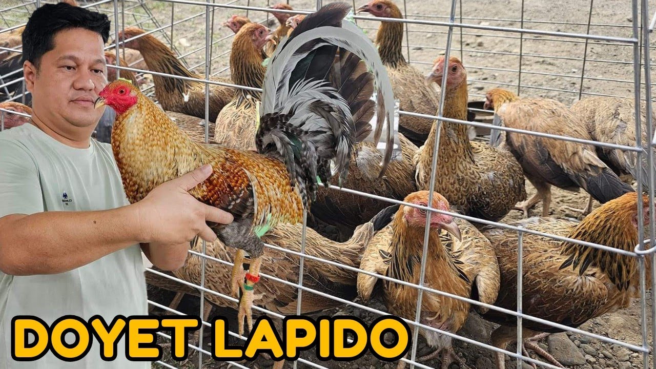 Doyet Lapido DL FARM - Big Farm in Philippines