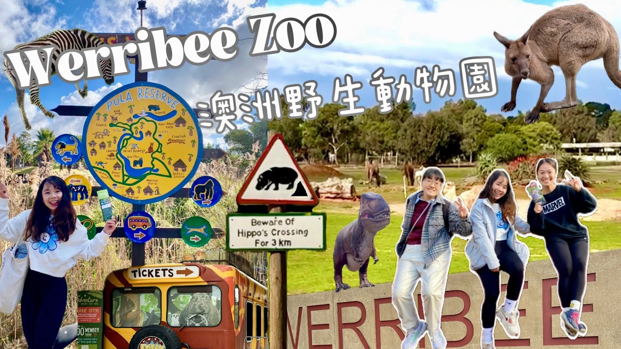 澳洲Vlog 🇦🇺| 墨爾本近郊野生動物園- Werribee Zoo 威瑞比動物園🐨 | 超近距離長頸鹿🦒 | 被動物療癒的一天🦘墨爾本必去景點