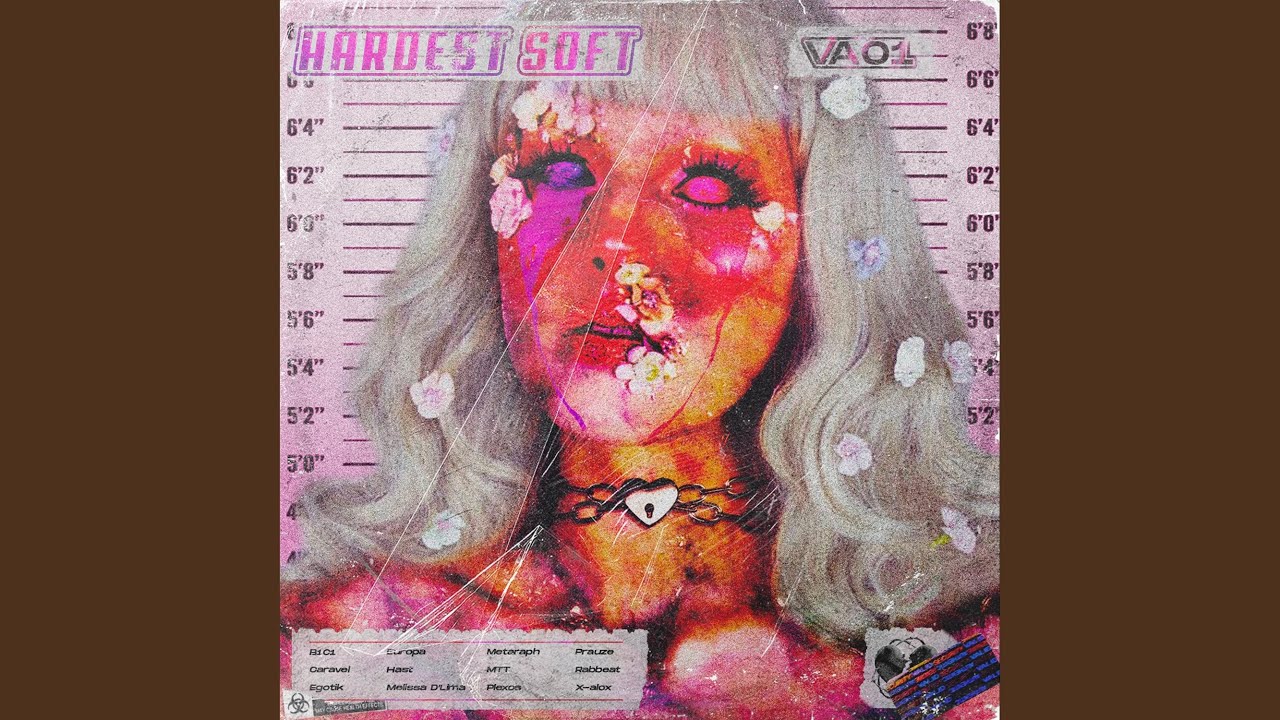 Echoes Of A Broken Soul