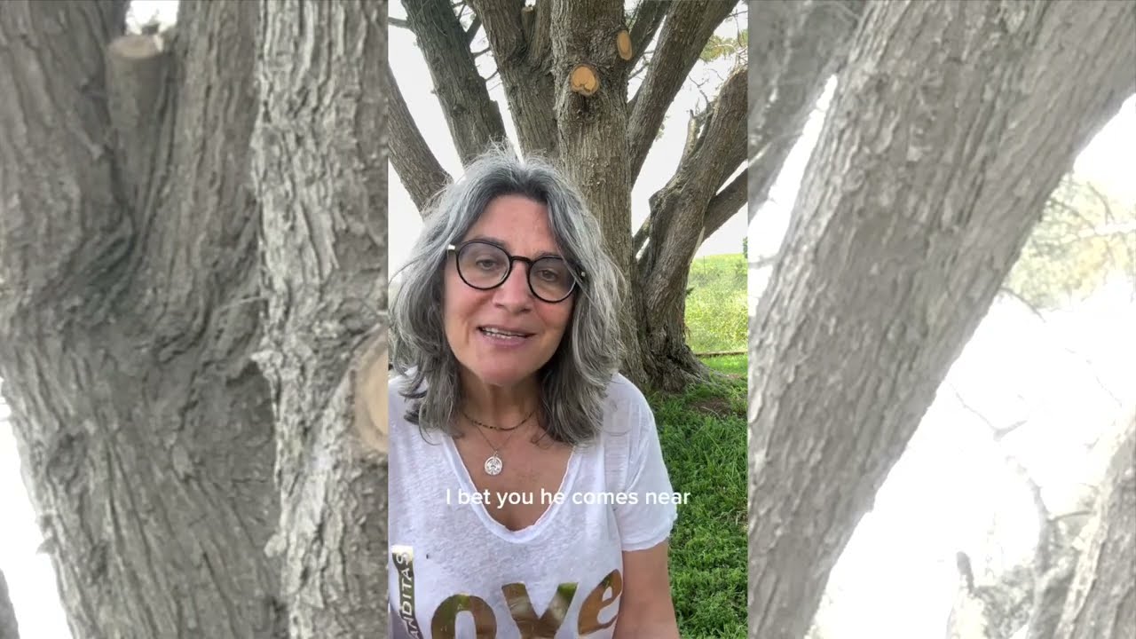 The Power of Reiki Healing for Dogs: Learn the Basics!