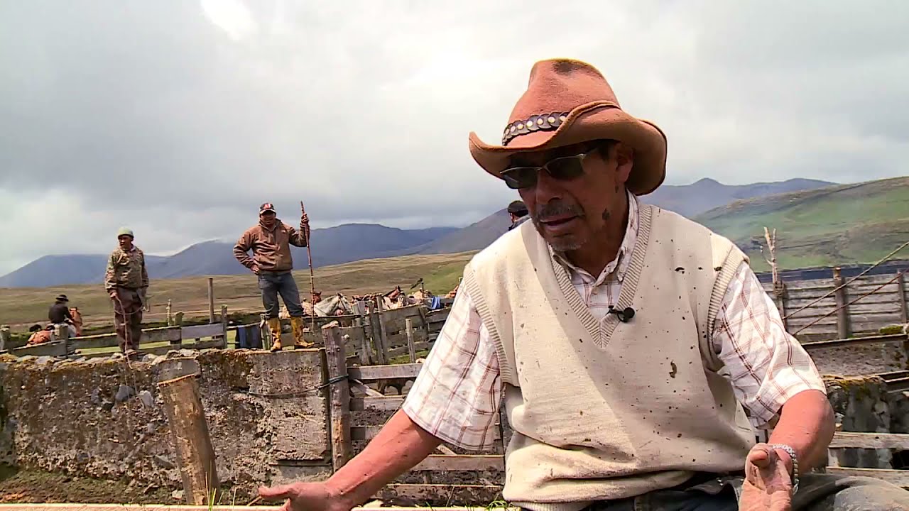 El Gran Rodeo Chagra | Programa 37 - Bloque 3 | Visi&oacute;n 360