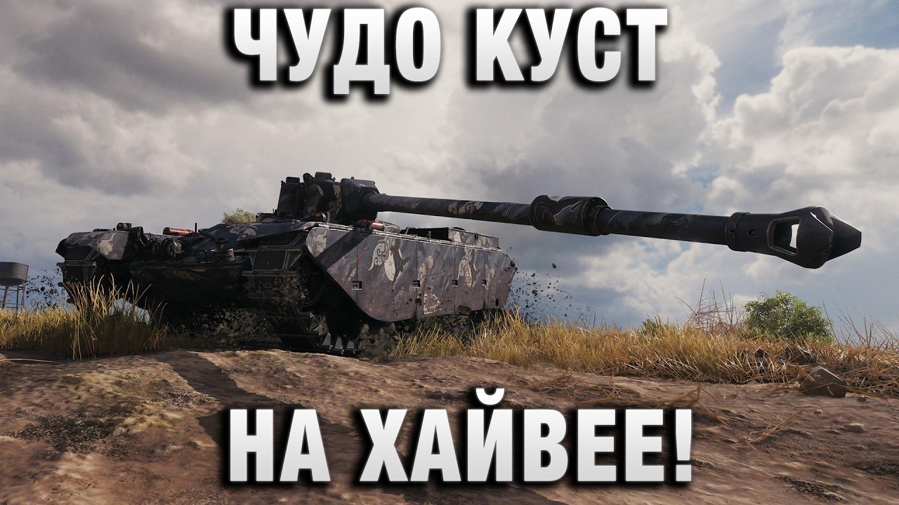 ЧУДО КУСТ НА ХАЙВЕЕ!