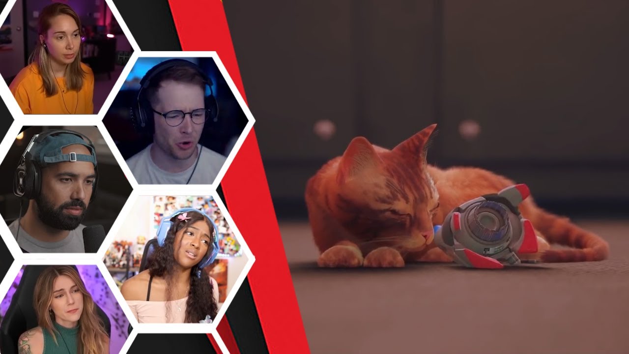 Lets Player's Reaction To B12 His Sacrifice And The City Opening Up - Stray