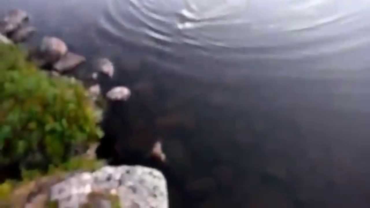 Fisketur i 