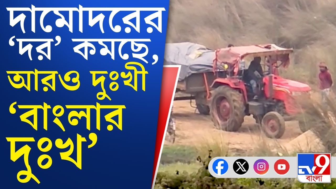 Damodar River News, Sand Mafia: বালি লুট থেকে আবর্জনার ডাস্টবিন―সত্যিই দুঃখী 'বাংলার দুঃখ'!