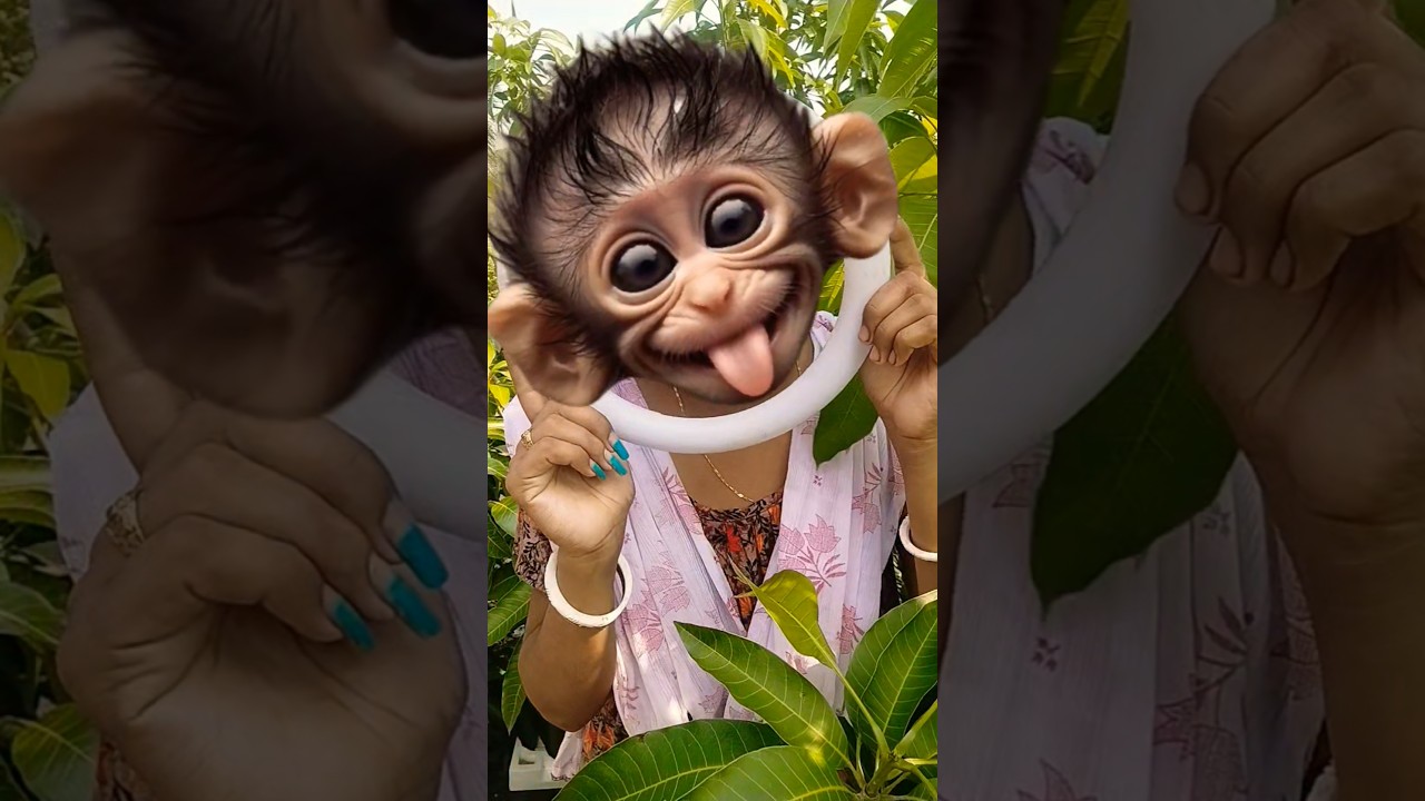 милый корги-экшн😍#0041