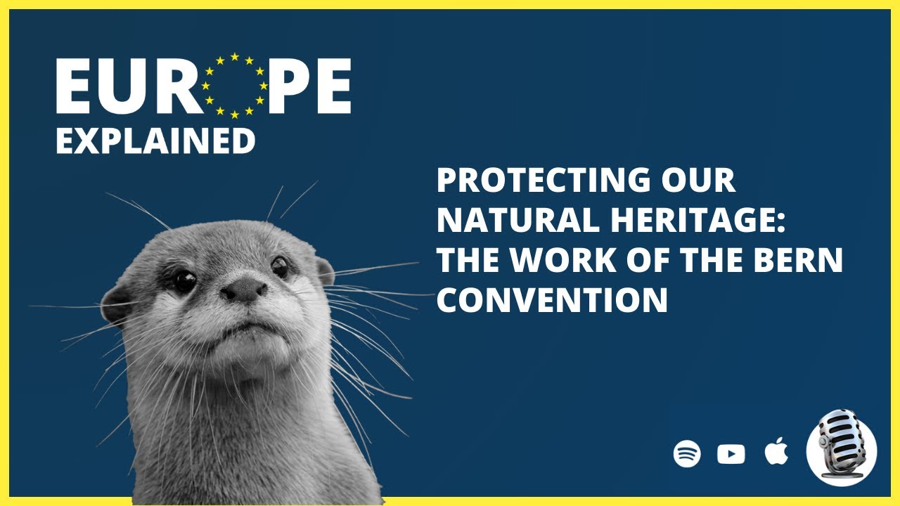 Protecting our natural heritage: the work of the Bern Convention