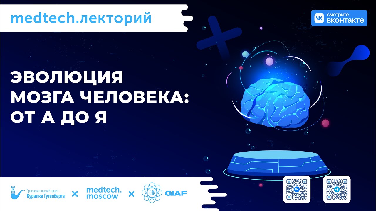 Лекция | Эволюция мозга человека: от А до Я | Елена Сударикова