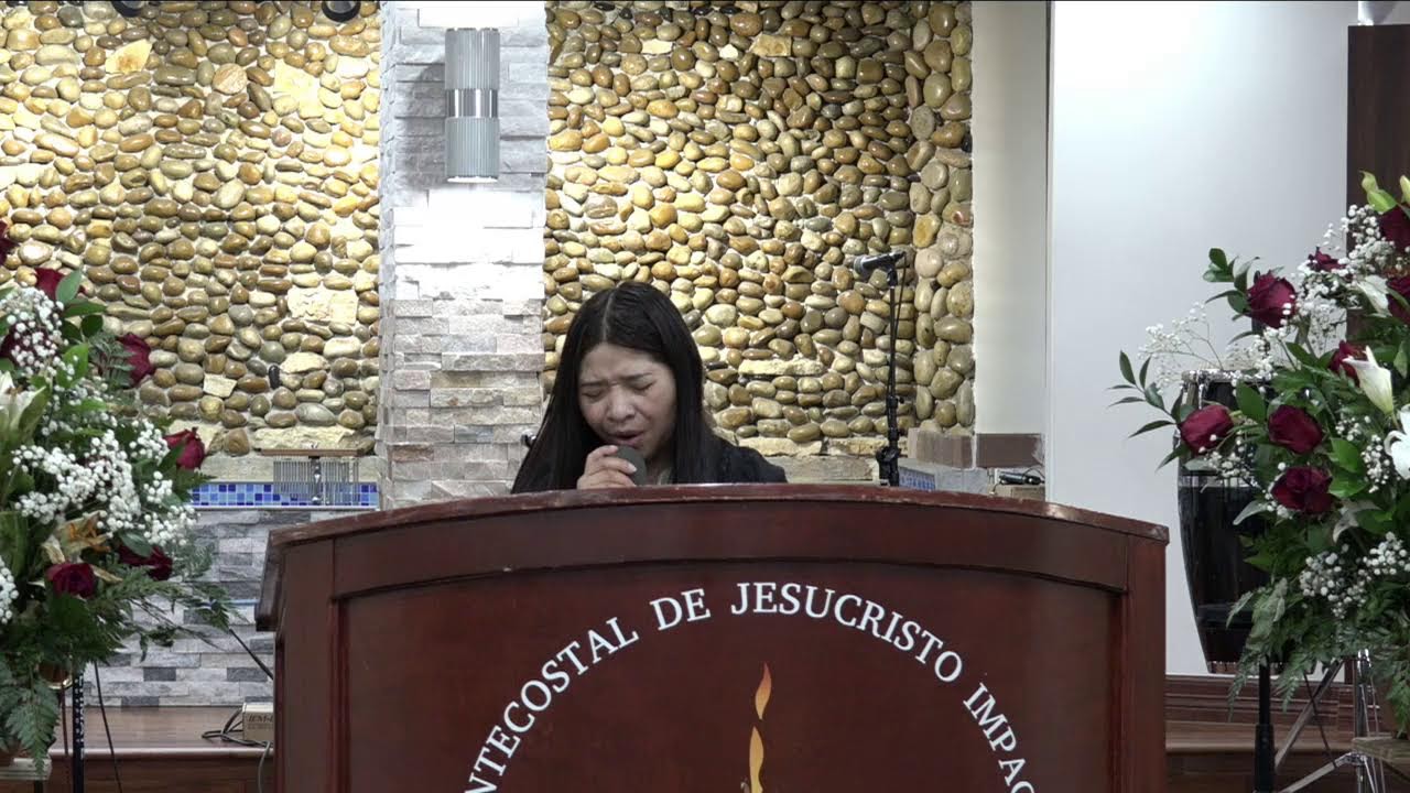 SERVICIO EN VIVO HOUSTON TX