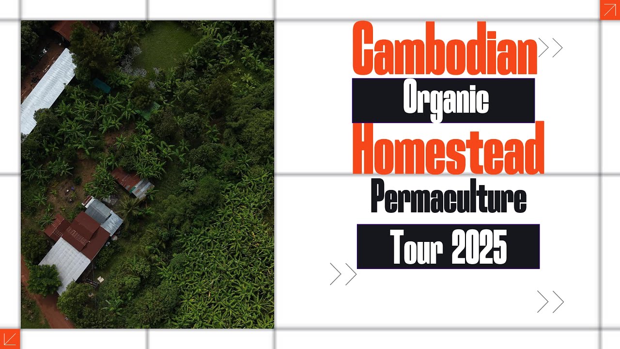 Exploring a Cambodian Homestead: A Permaculture Edible Jungle Adventure