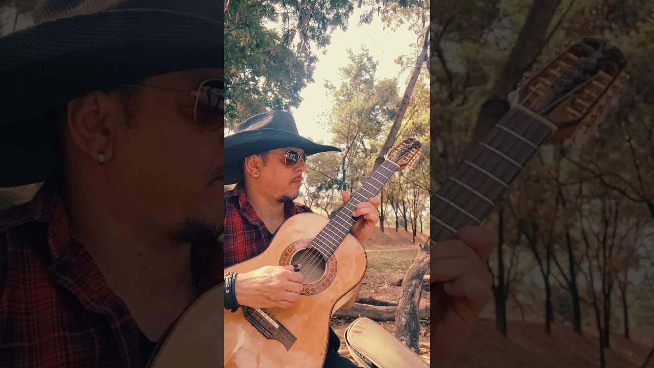 Pagode em Brasília / viola