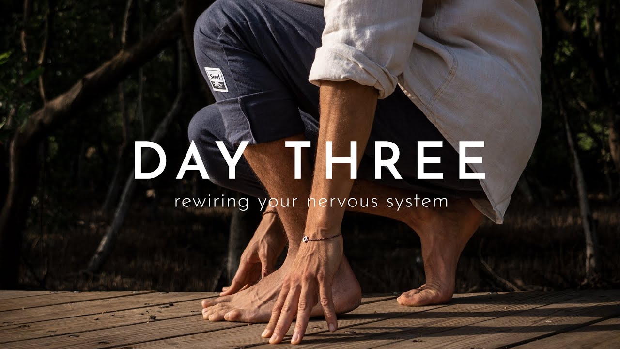 35 Min To Get Lost in The Inner Jungle - Rewiring Your Nervous System - Day 3