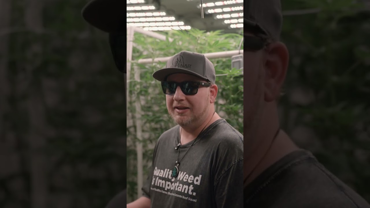 The Power of Enzymes: Expert Insights from QUALIFIRE FARMS